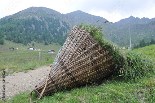 Kiepe mit Heu auf der Alm photo