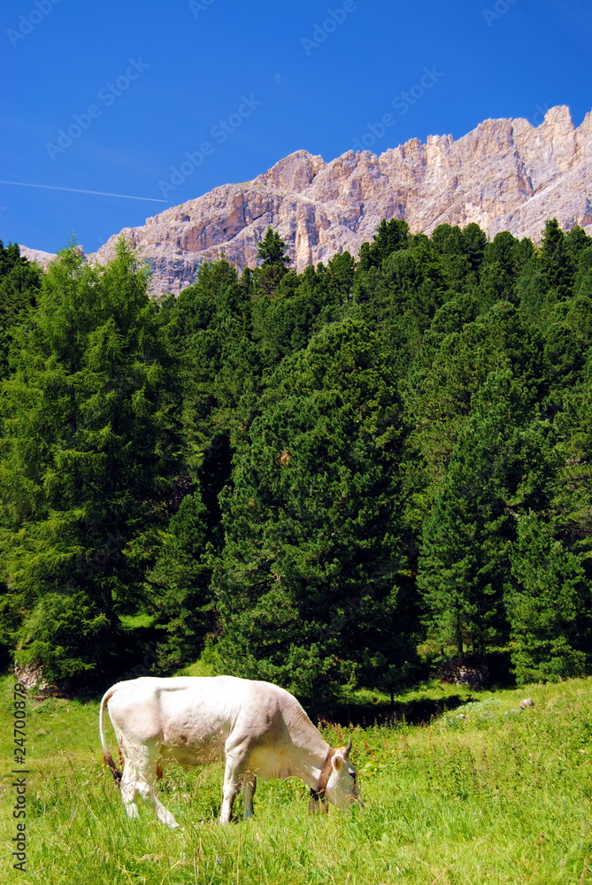 Pascolare in Paradiso