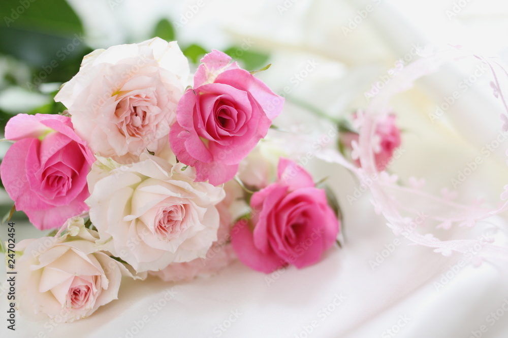 pink rose isolated on white background