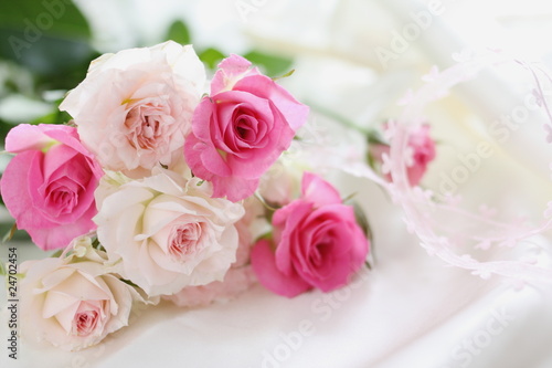 pink rose isolated on white background © jreika