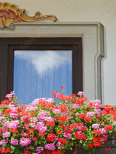 Blumen zuhause auf dem Balkon - Balkony