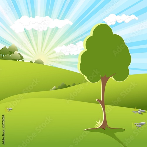 tree on sundown