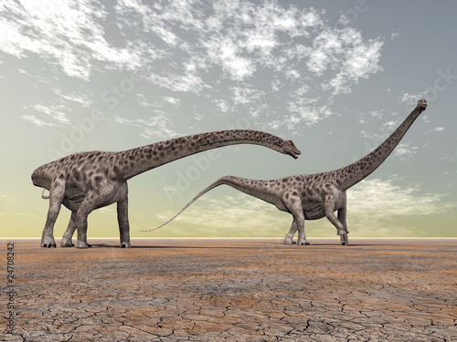 Diplodocus © Michael Rosskothen