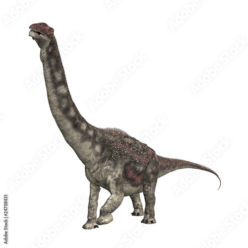 Diamantinasaurus