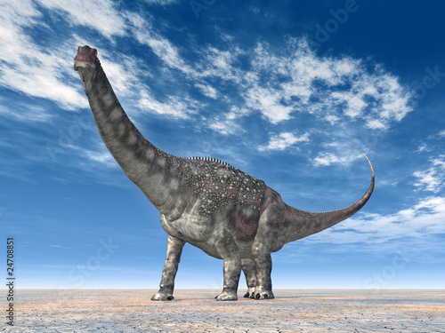 Fototapeta Naklejka Na Ścianę i Meble -  Diamantinasaurus