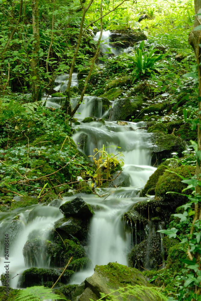 Obraz premium Beautiful mountain cascade of water