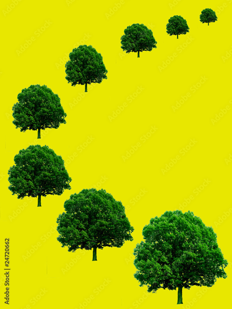 Fototapeta premium Line of green trees in perspective on yellow background.
