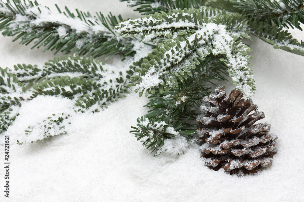 Winter fir cone