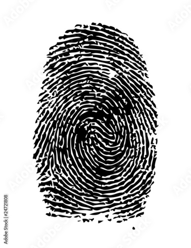 Fingerprint / vector