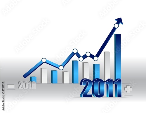 2010 - 2011 White Successful Graph