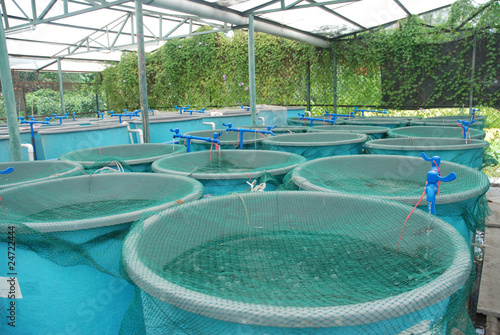 Agriculture aquaculture farm photo