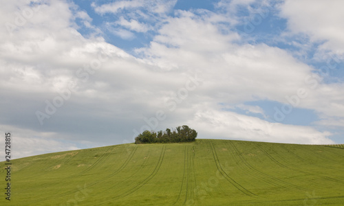 Colline marchigiane