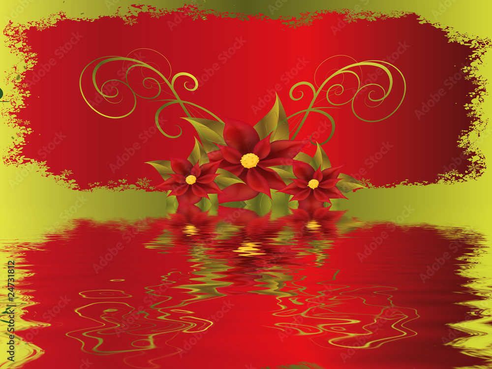 Weihnachtsstern Weihnachtsstern