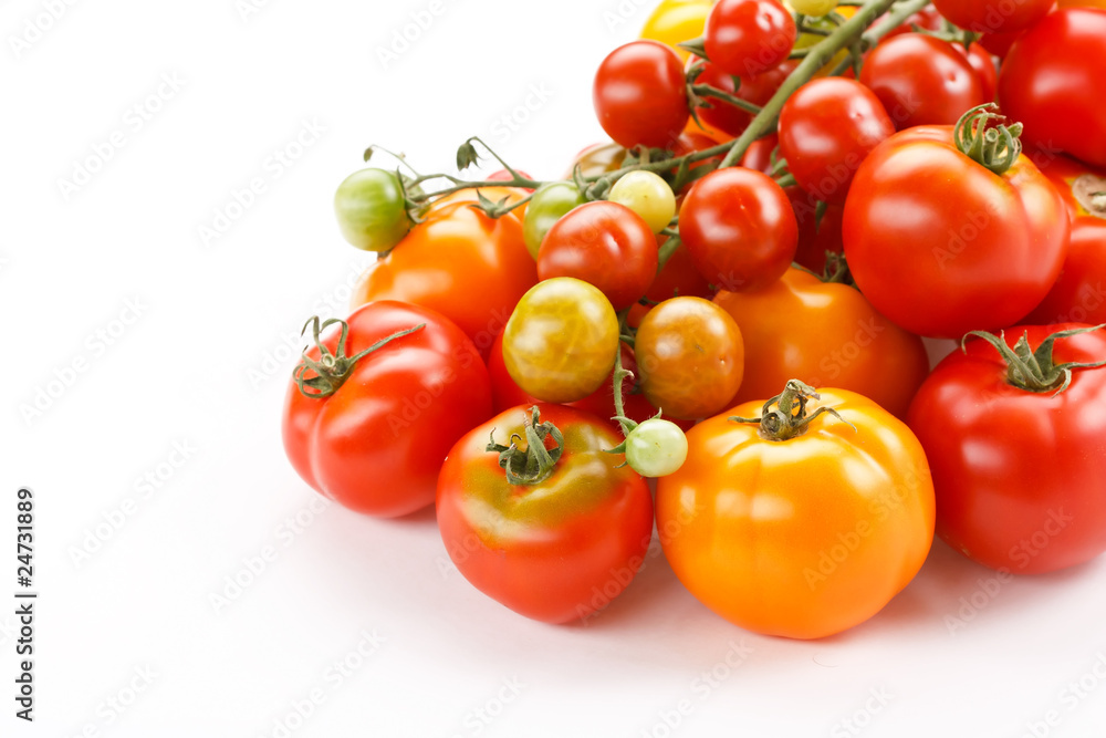 fresh tomatoes fresh tomatoes
