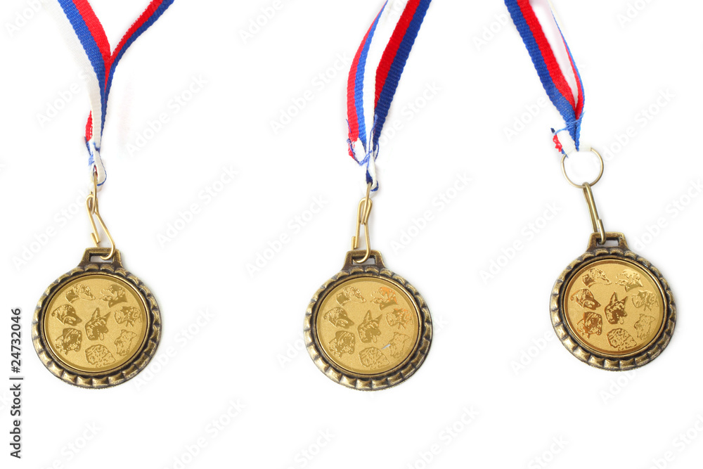 medals for dogs medals for dogs