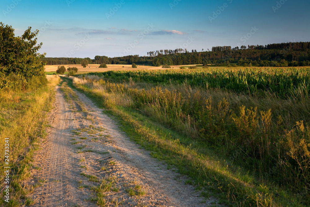 Feldweg Abends