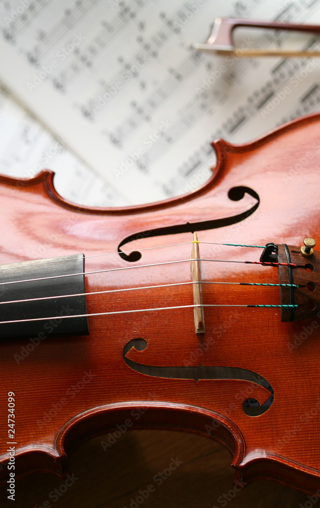 Fototapeta premium violine_5