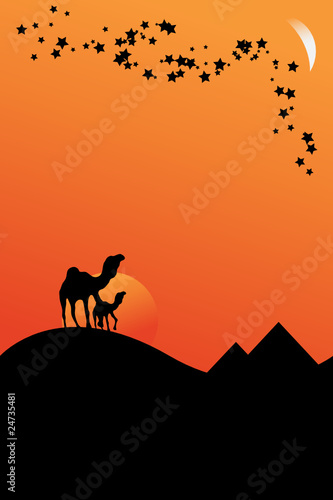 Camels walking in desert sunset  travel concept. Vector Image