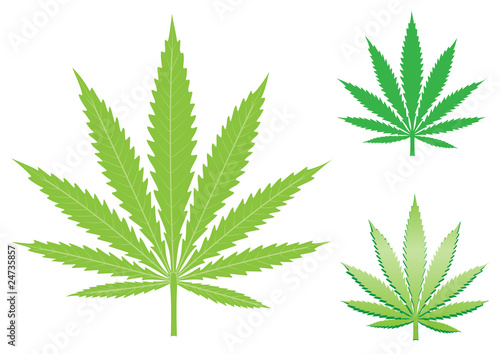 hemp leaf
