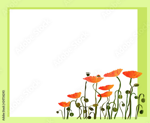Маки Рамка 3 / Poppies Frame 1