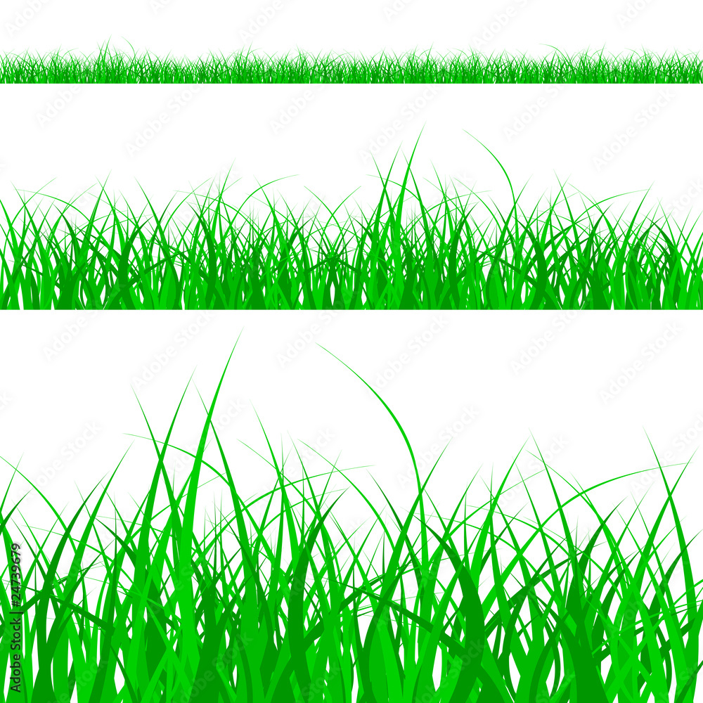 Fototapeta premium grass pattern