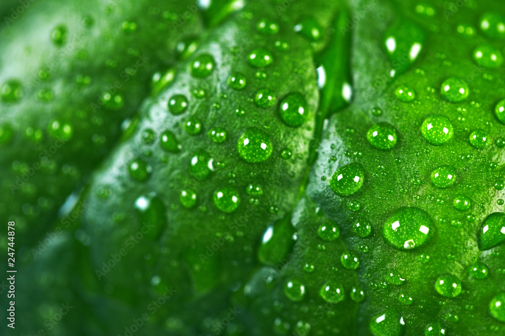Water drops Water drops