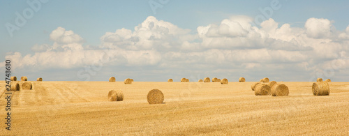 Valokuva Golden hay bales in the countryside