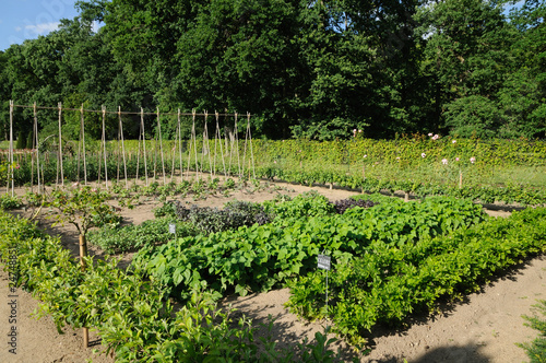potager