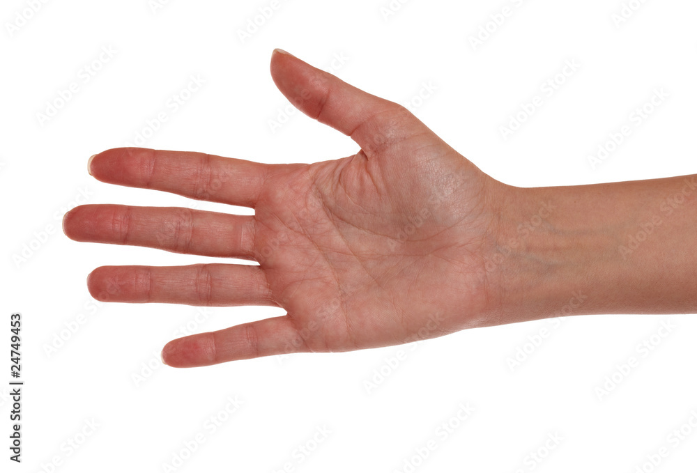 Rechte Hand einer Frau Rechte Hand einer Frau