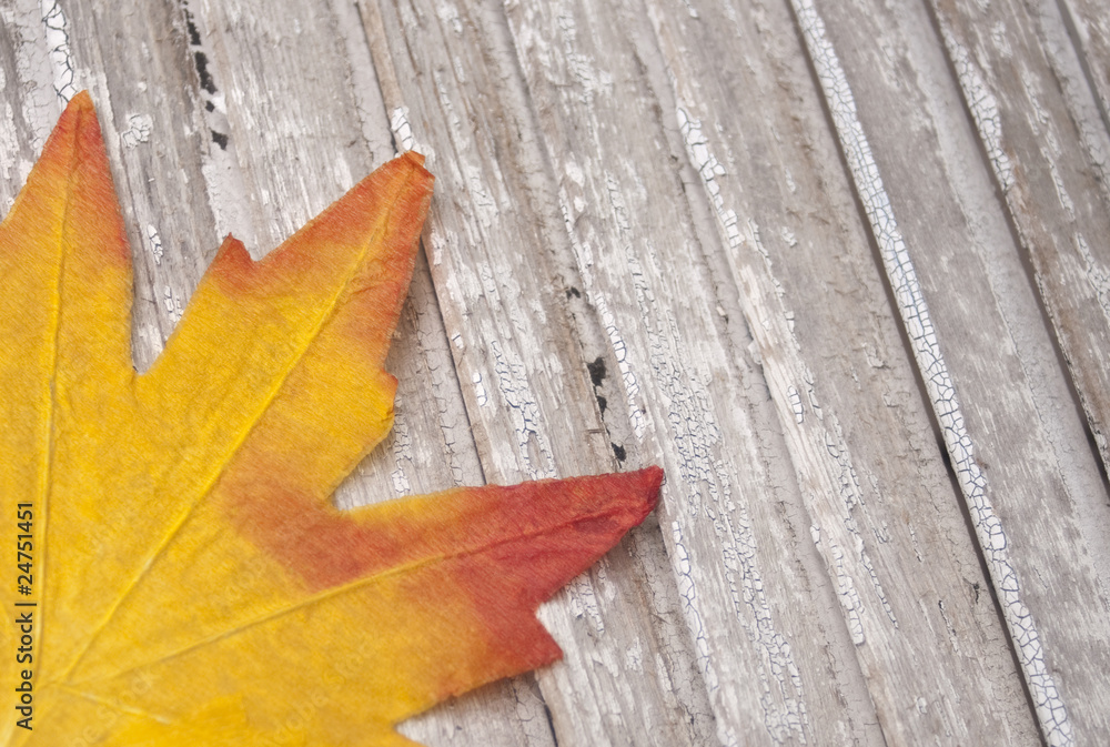 Fall Leaves on Rustic Wood Fall Leaves on Rustic Wood