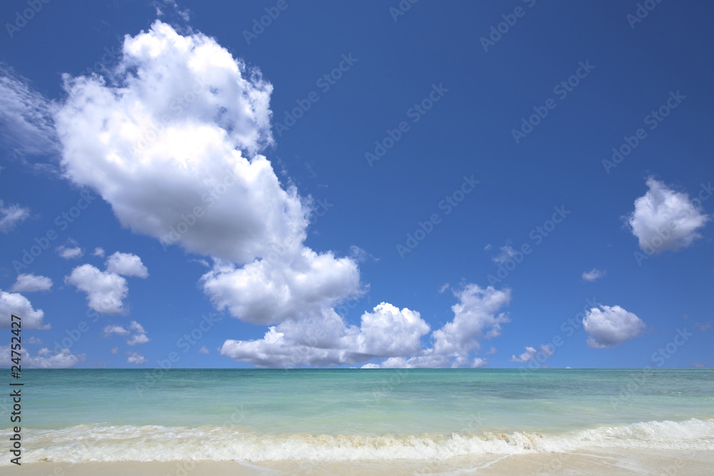 Fototapeta premium sand of beach hawaii sea