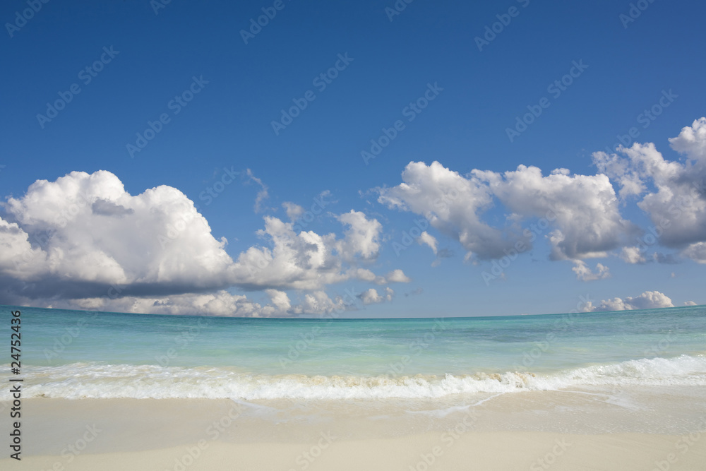 sand of beach hawaii sea sand of beach hawaii sea