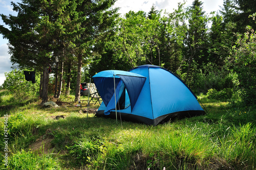 Blue tent in a forest