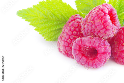 raspberry