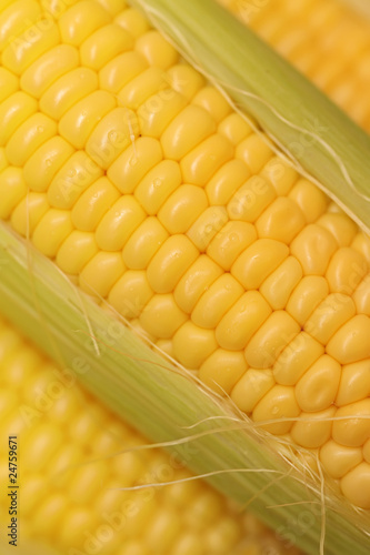 Corn