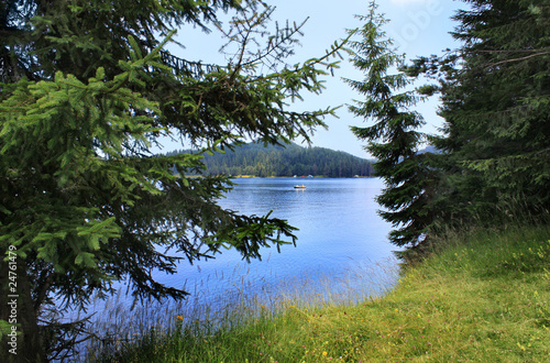 Fototapeta Naklejka Na Ścianę i Meble -  Boat at mountain lake, pine trees