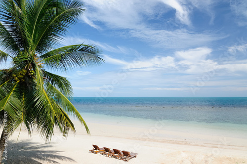 Tropical Beach Resort photo