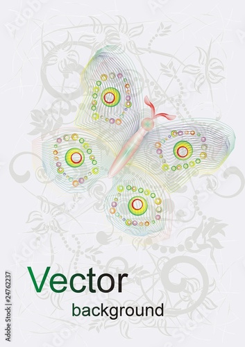 Vector colour butterfly