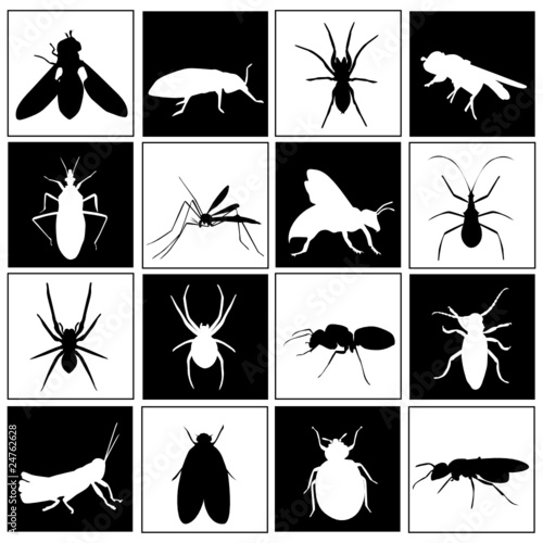 insect set