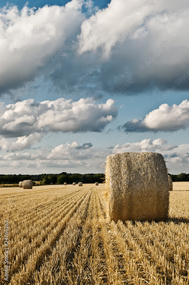 Hay bale roll on field with clouds