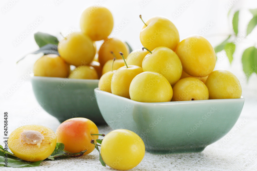 cherry-plum cherry-plum