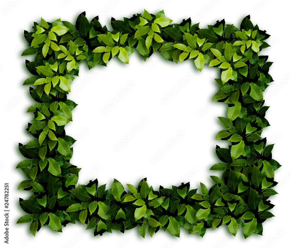 Fototapeta premium Leaves border