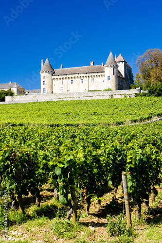 Chateau de Rully with vineyards, Burgundy, France photo