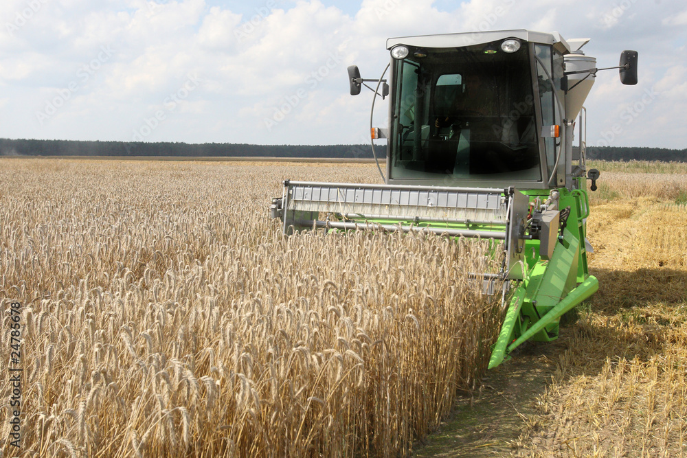 Machine harvesting