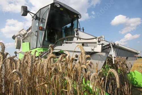 Obraz na płótnie Machine harvesting w salonie