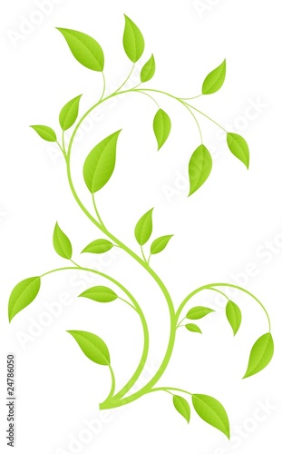 Green branch