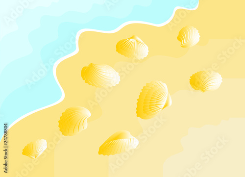 seashell