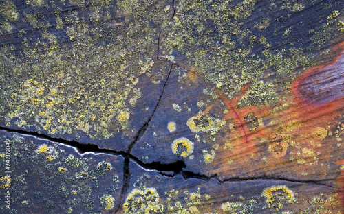 Fototapeta Naklejka Na Ścianę i Meble -  Cracked Wood Beam Texture