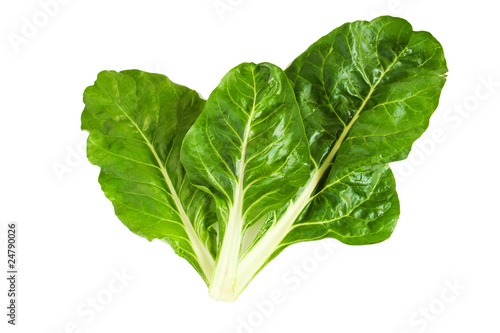 Fotografia Swiss chard