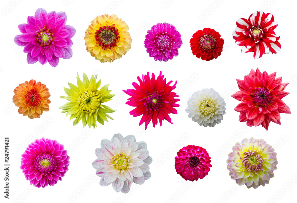 Fototapeta premium Blumenbukett